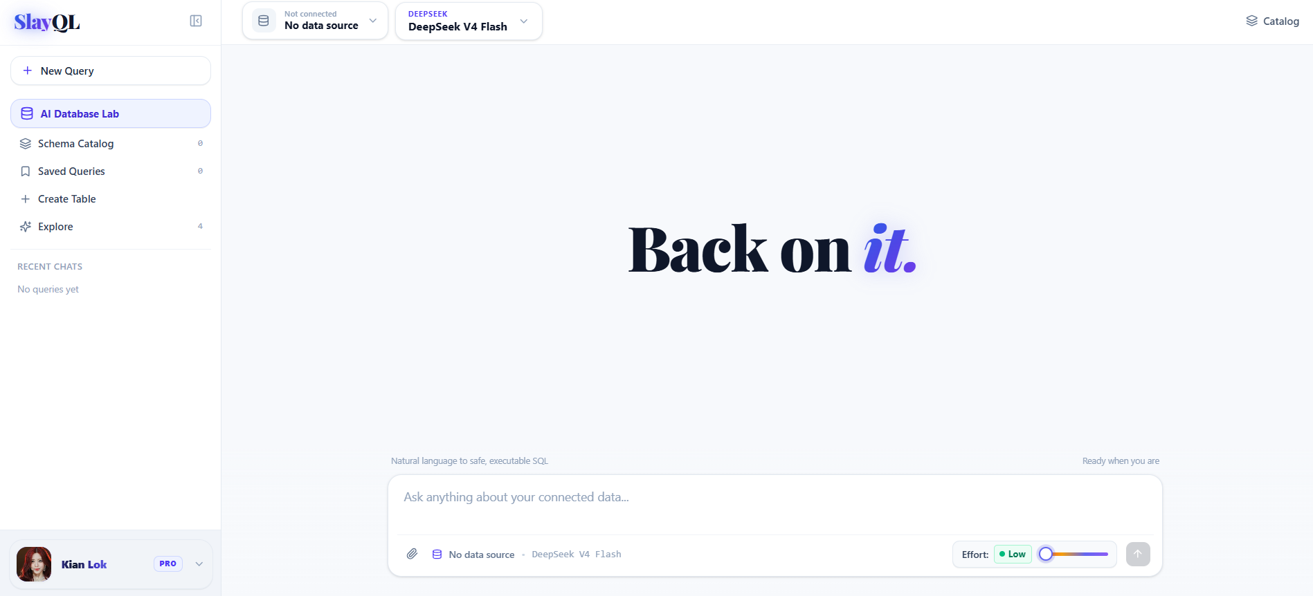 SlayQL UI